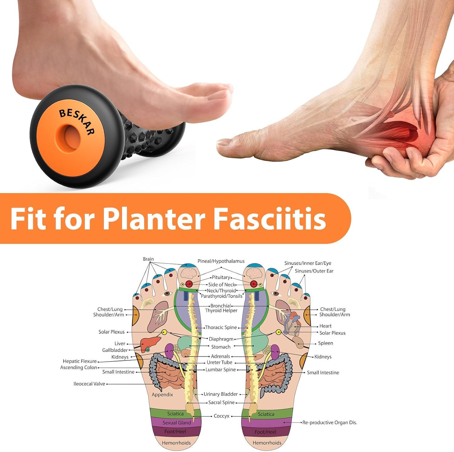 Plantar Fasciitis Foot Massager Roller Tool